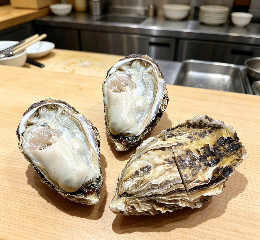Fresh Pacific Oysters